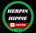 Herpin_Hippie
