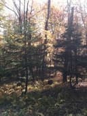 dave_320