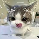 carlly