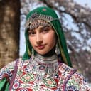 Ariana Elahi