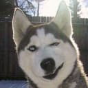 pet_funnylover21